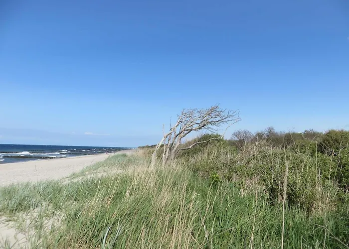 Exkl_ App_ Buhne_ Kamin_ W_lan_ 25 * Börgerende-Rethwisch